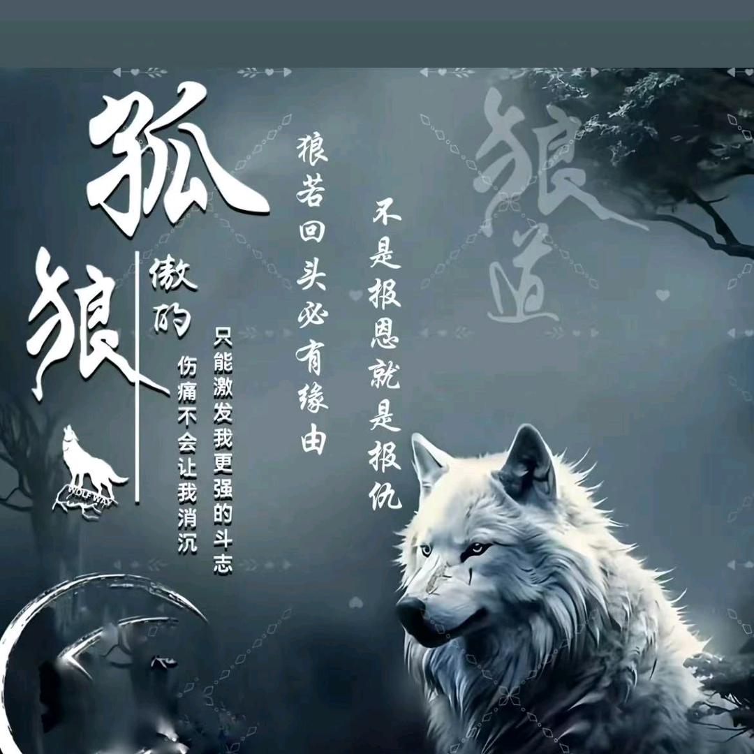 孤🐺狼