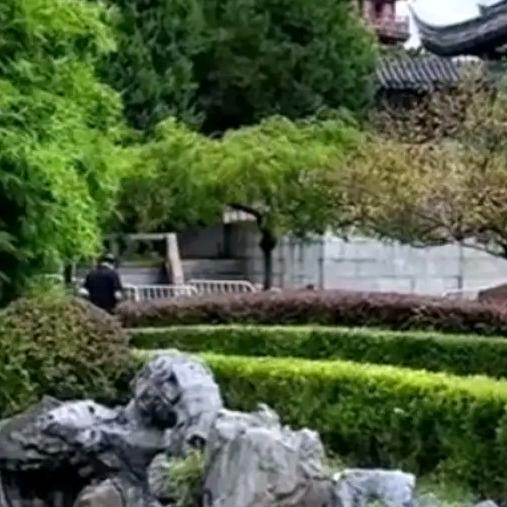 梦想