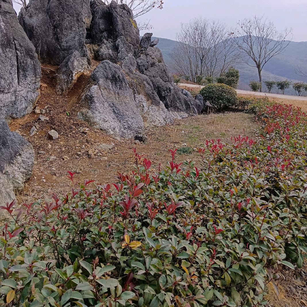 平安是福