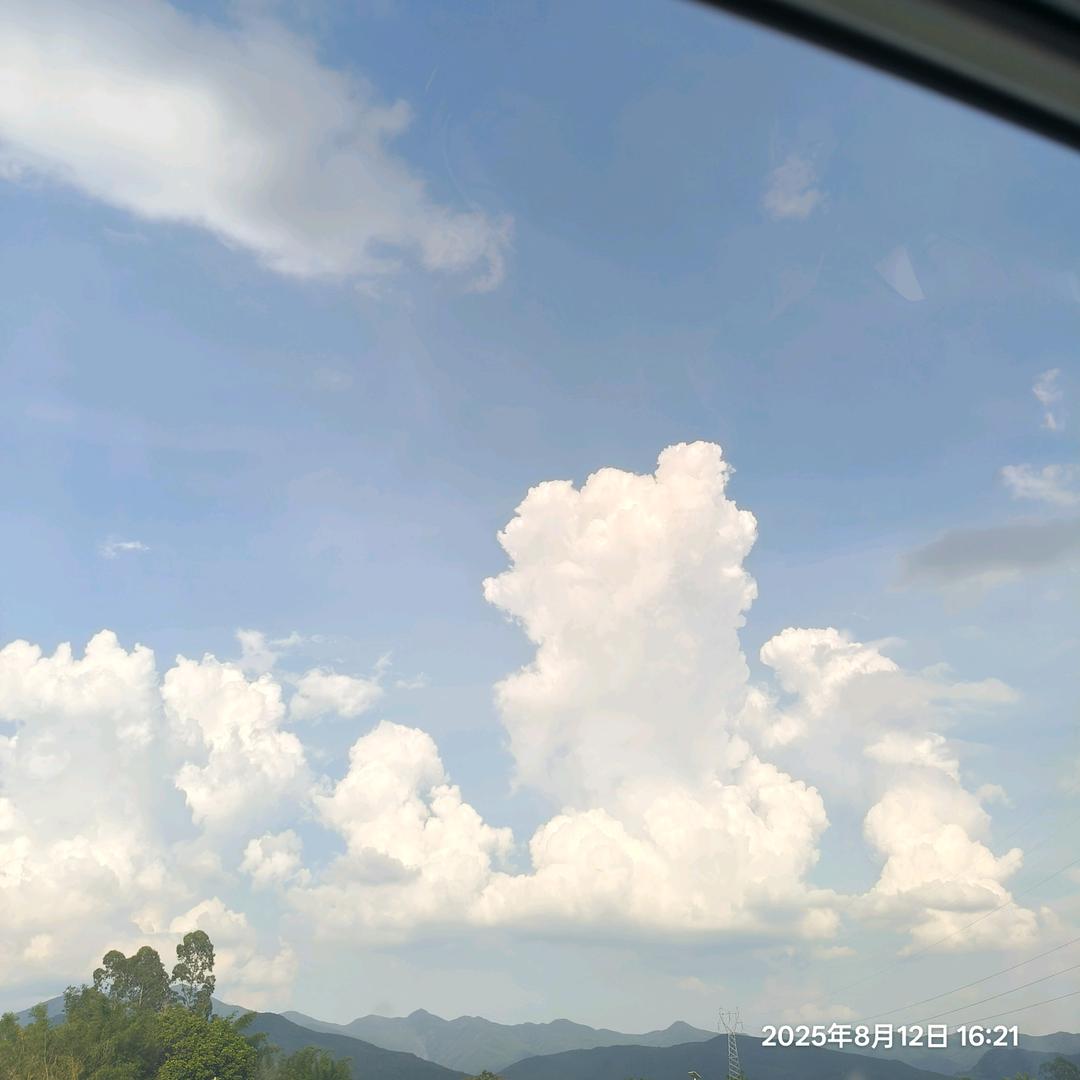 柿柿如意。