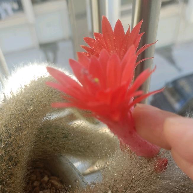 月月