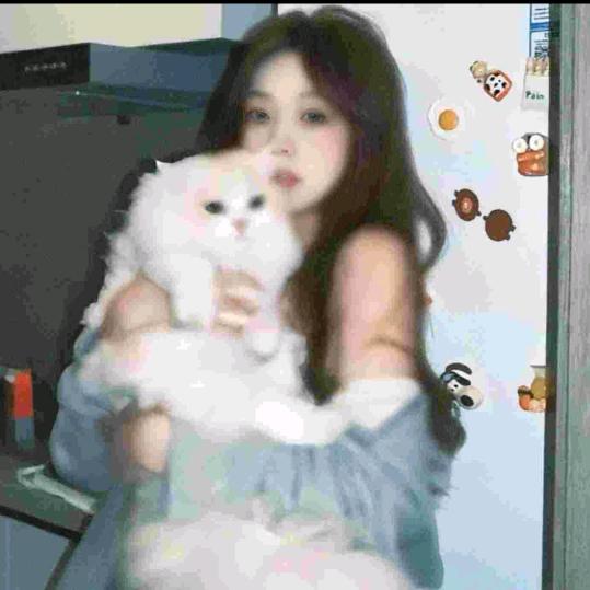 尐⃨懶໊猫ᮩ⃨🐾
