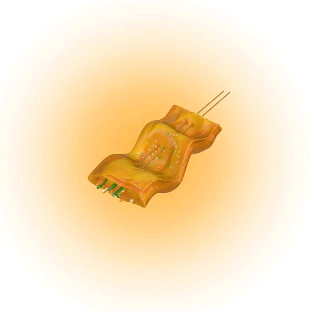 苕皮重度依赖/.