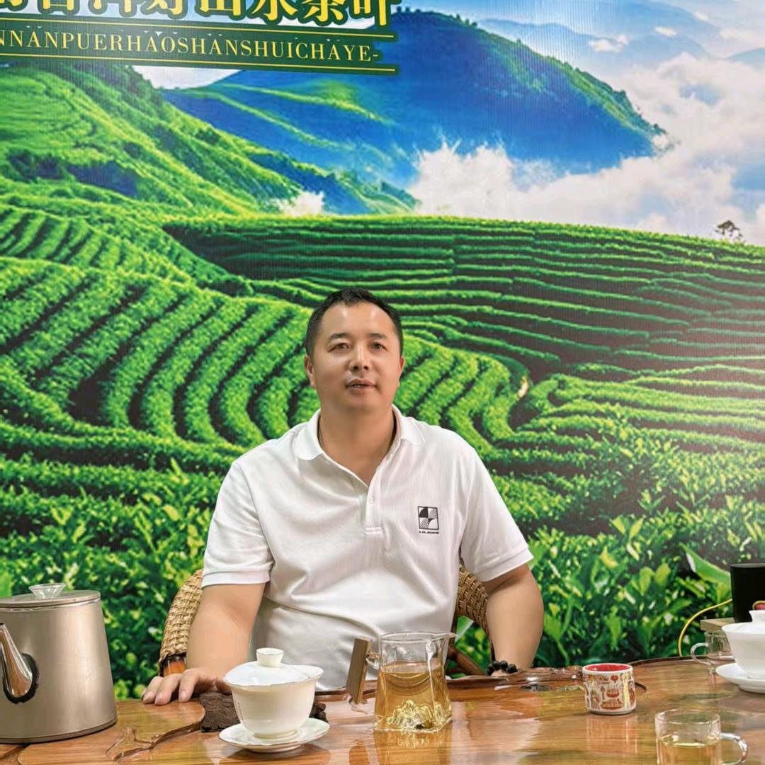 普洱好山水茶叶