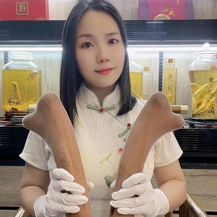 鹿茸妹妹【湖南醴陵麓辉.梅花鹿生态鹿场】