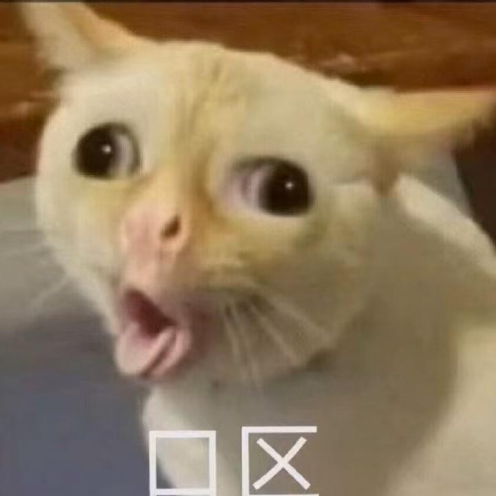 呆jio补~