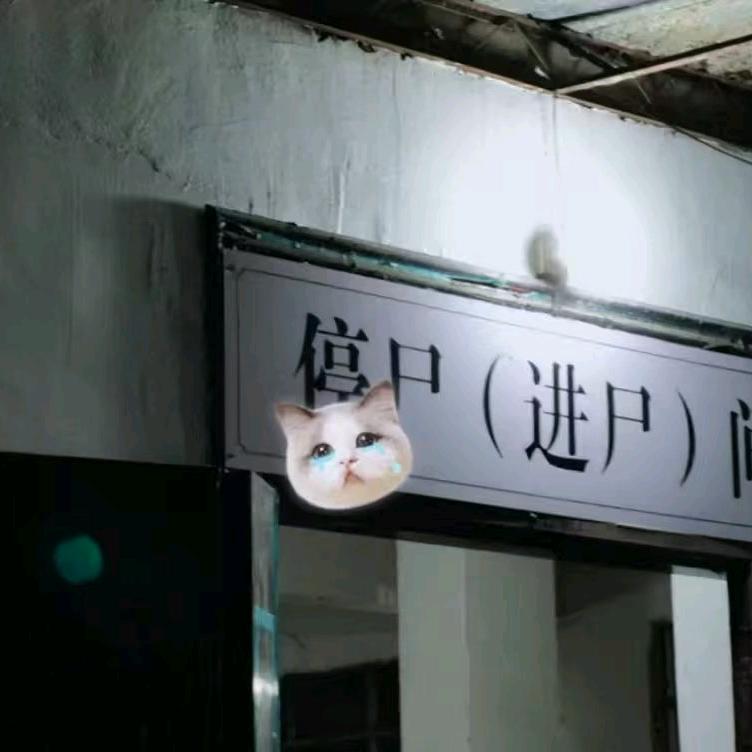 别看我