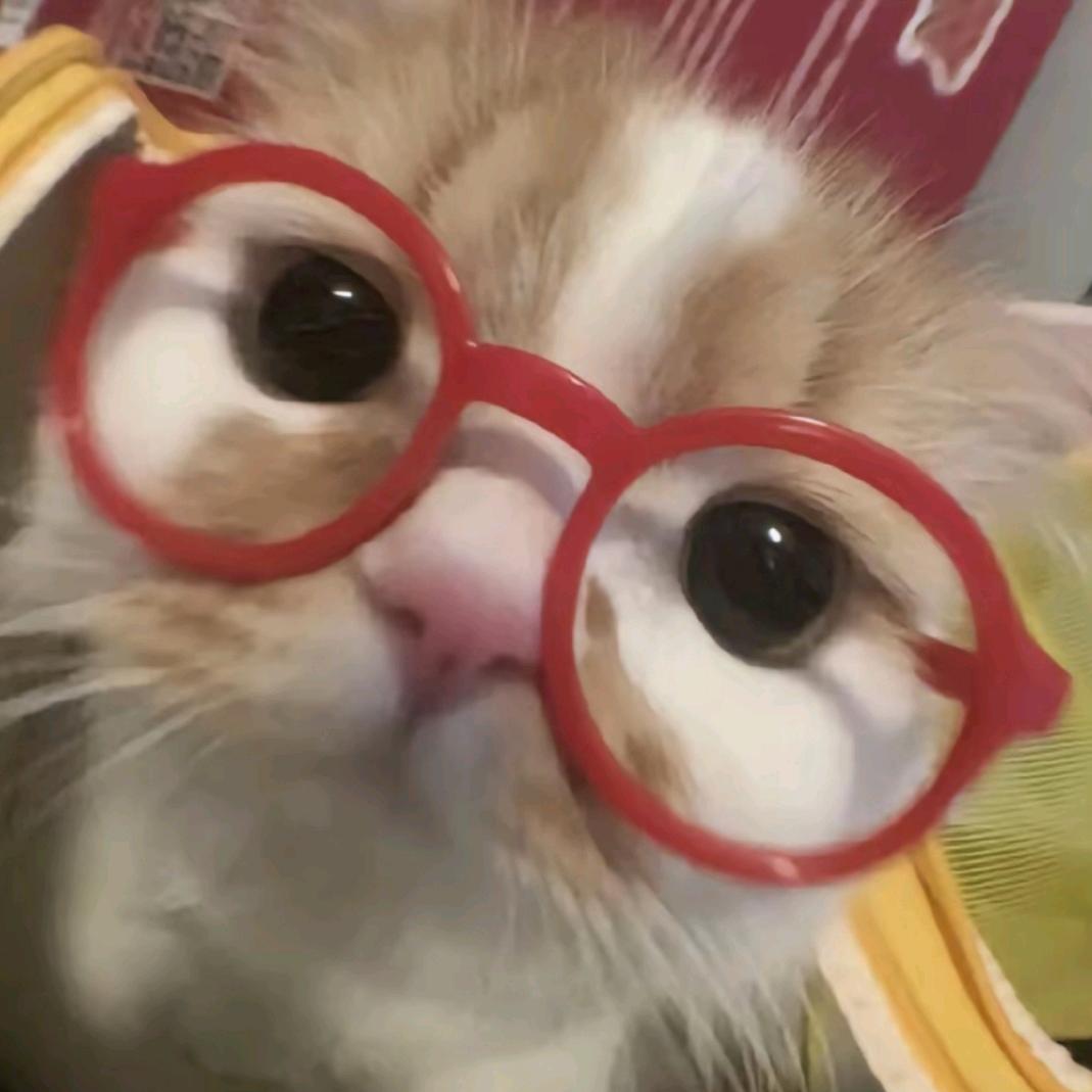 我不知道取什么名字(¬‿¬)✏️