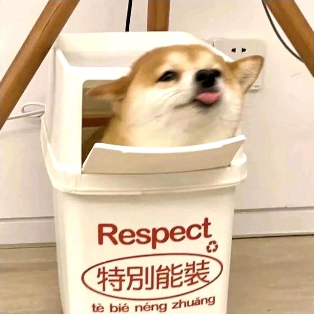 我的名字