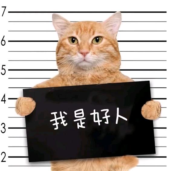 沉默不语