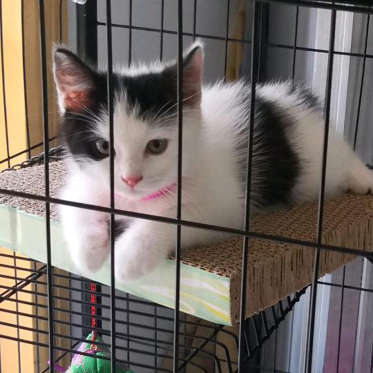 ღ᭄余生💞好运࿐