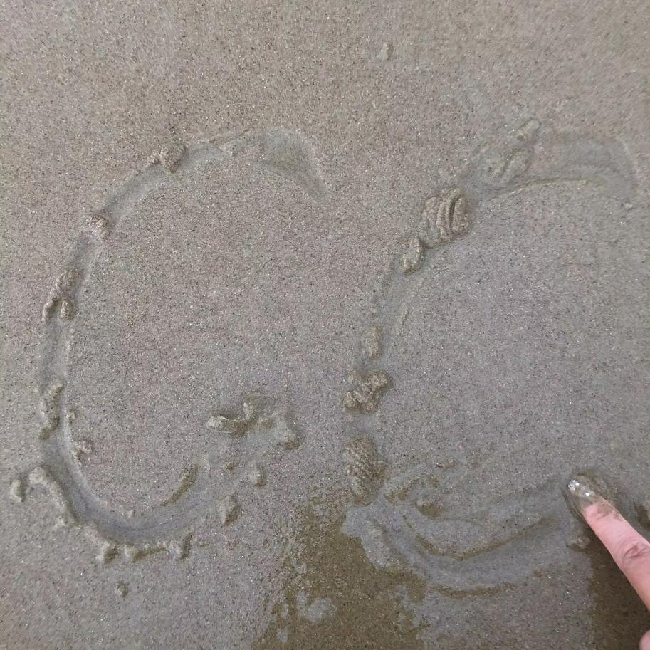 小白菜青菜菜、