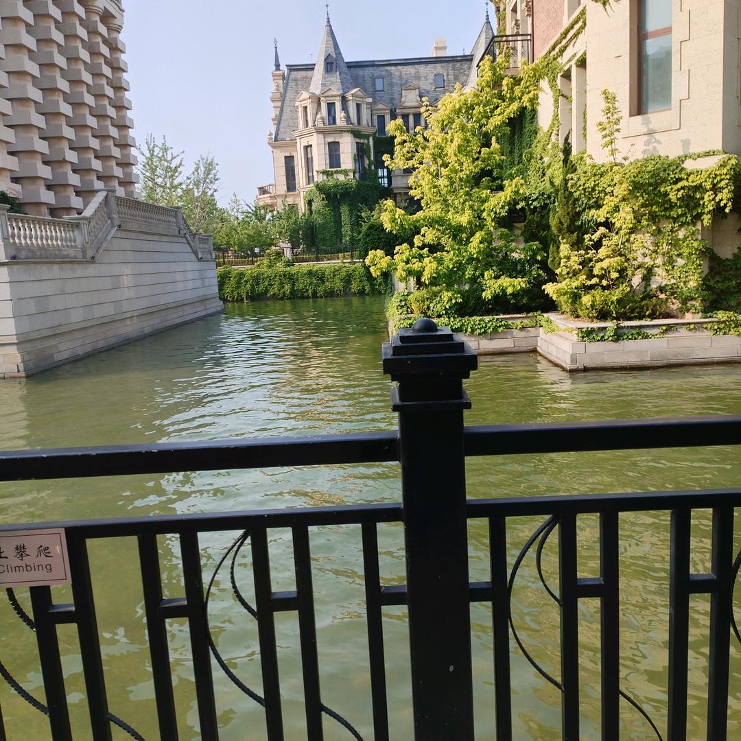 冬天的暖阳