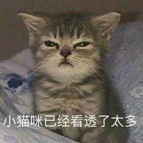 又矮又细匀速10的单车佬
