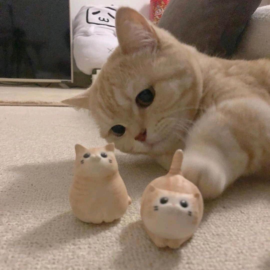 咕噜咕噜