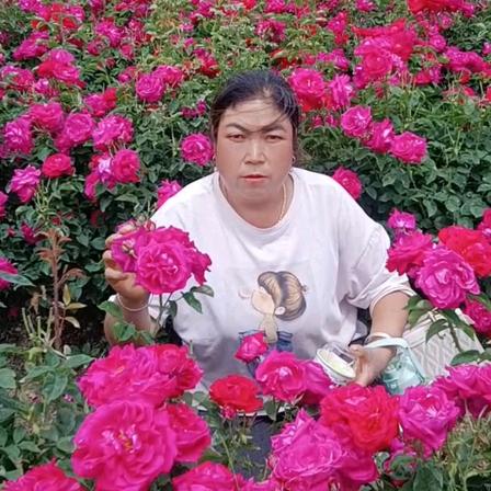 今生