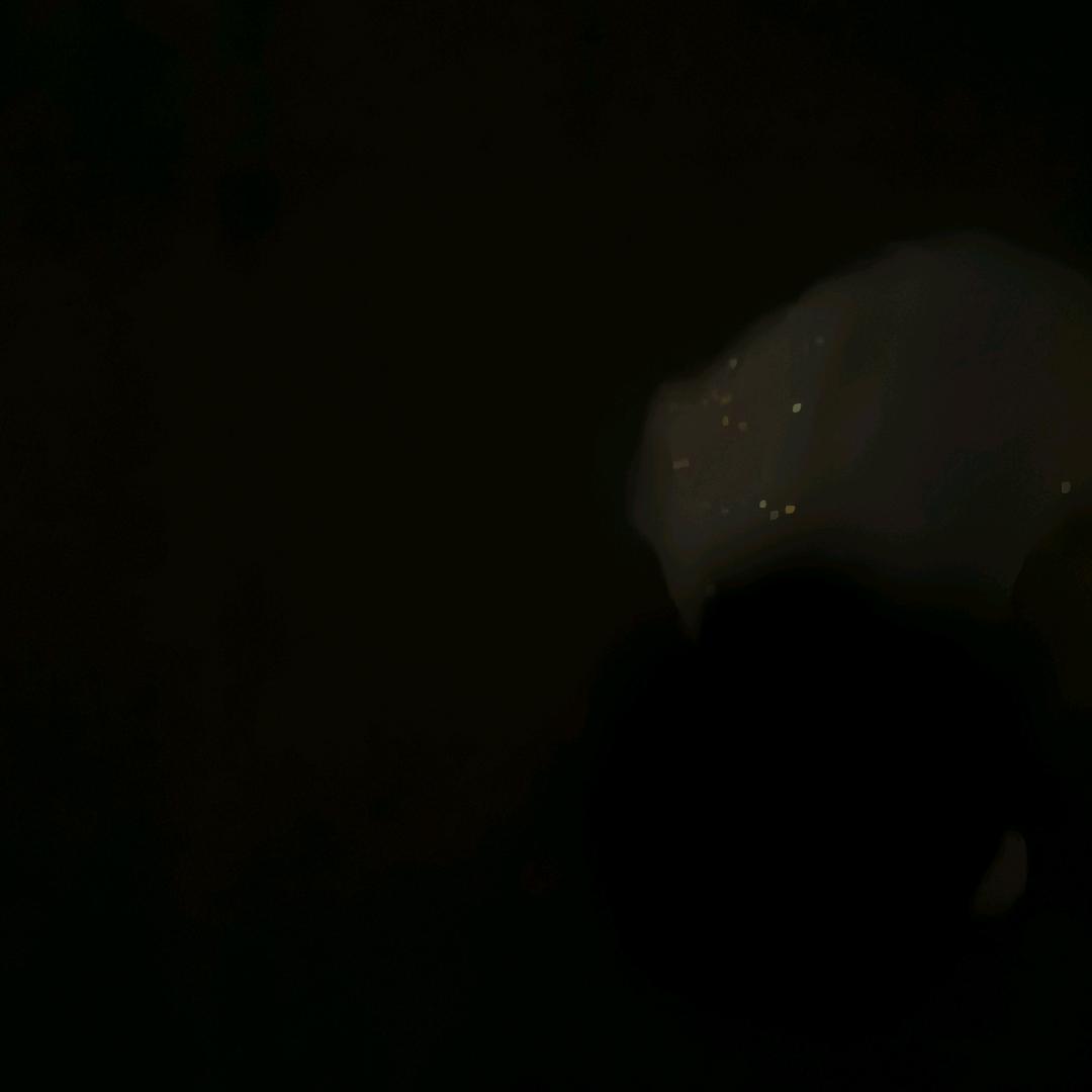 音乐风尘