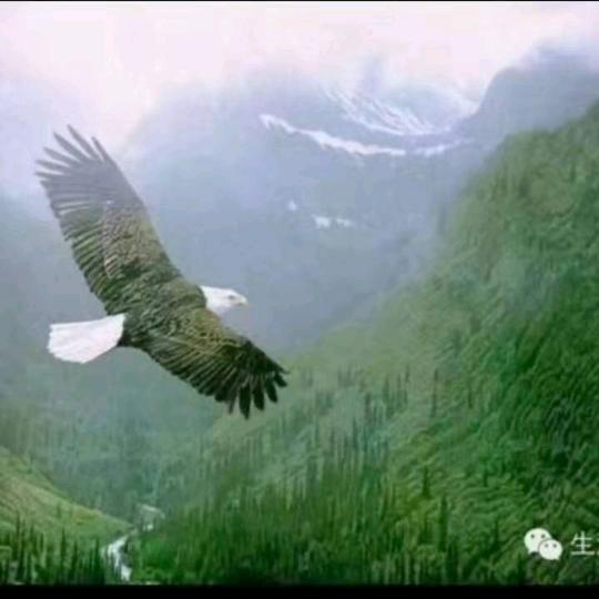 一生꧔ꦿ᭄ 平安ഒ᭄