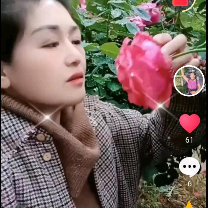 明月*姐只是个传说