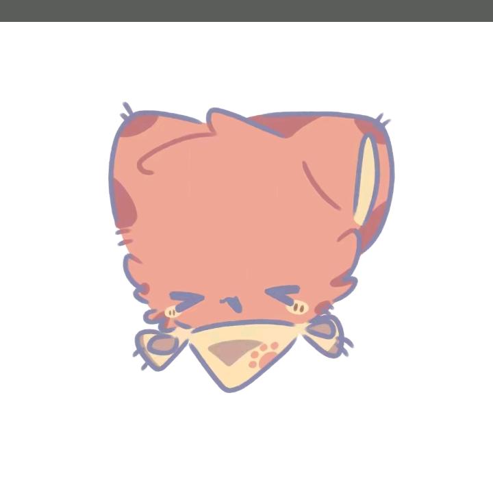 杂食圈（主推瓷）