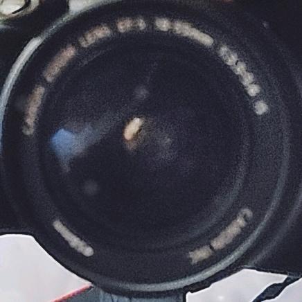 不专业的摄影师（野生）