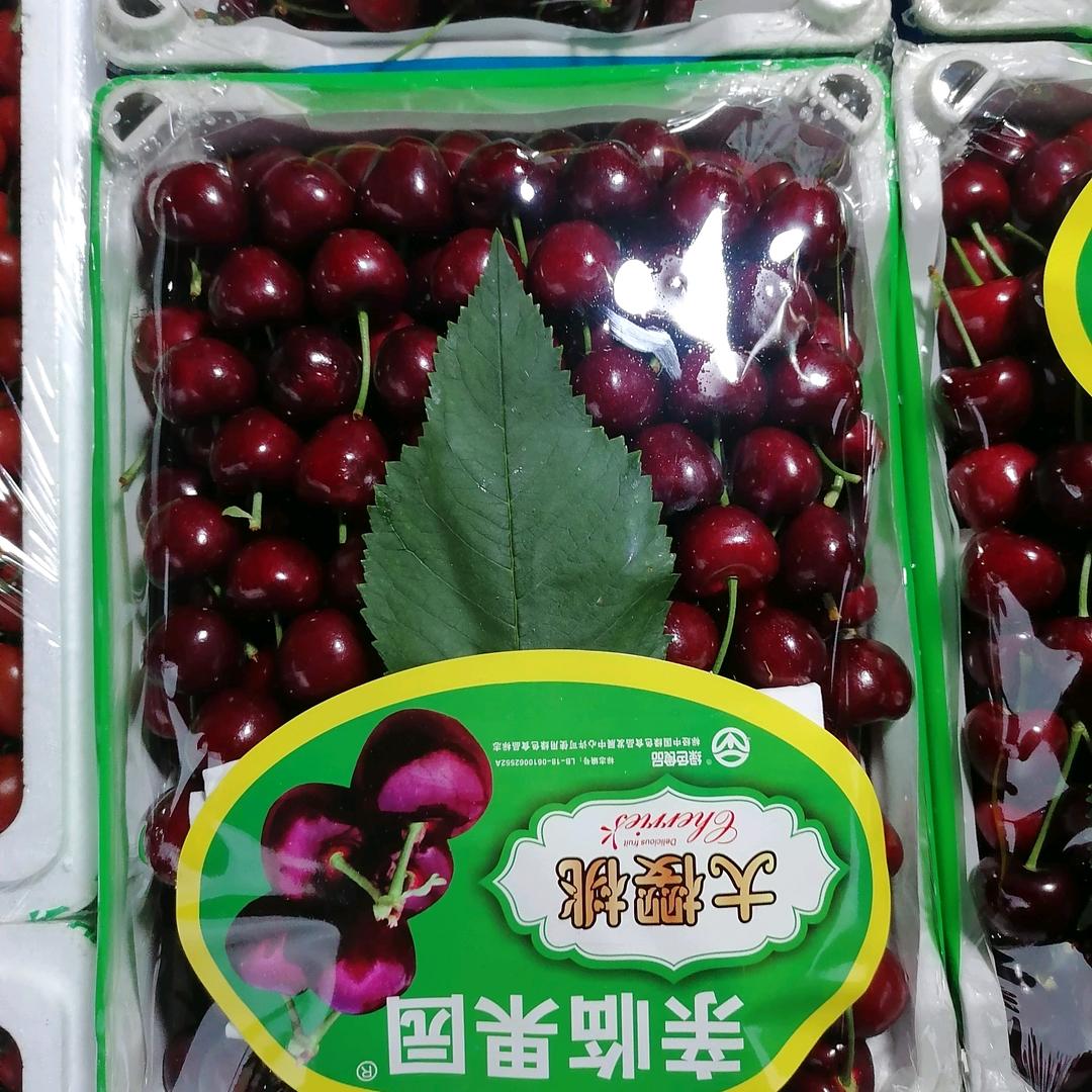 重生