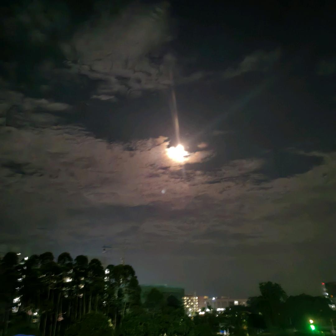 念念