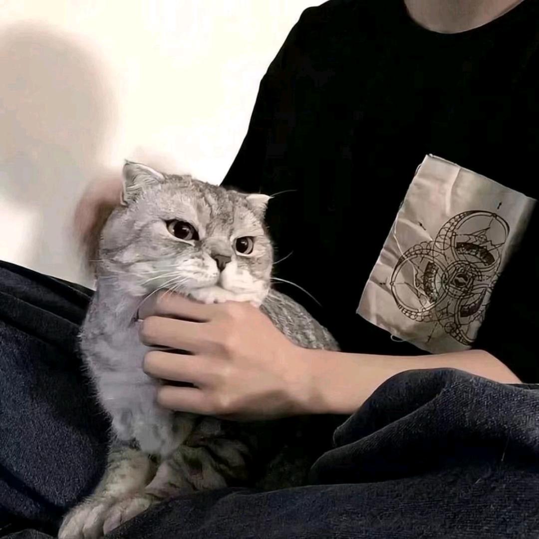 钟意