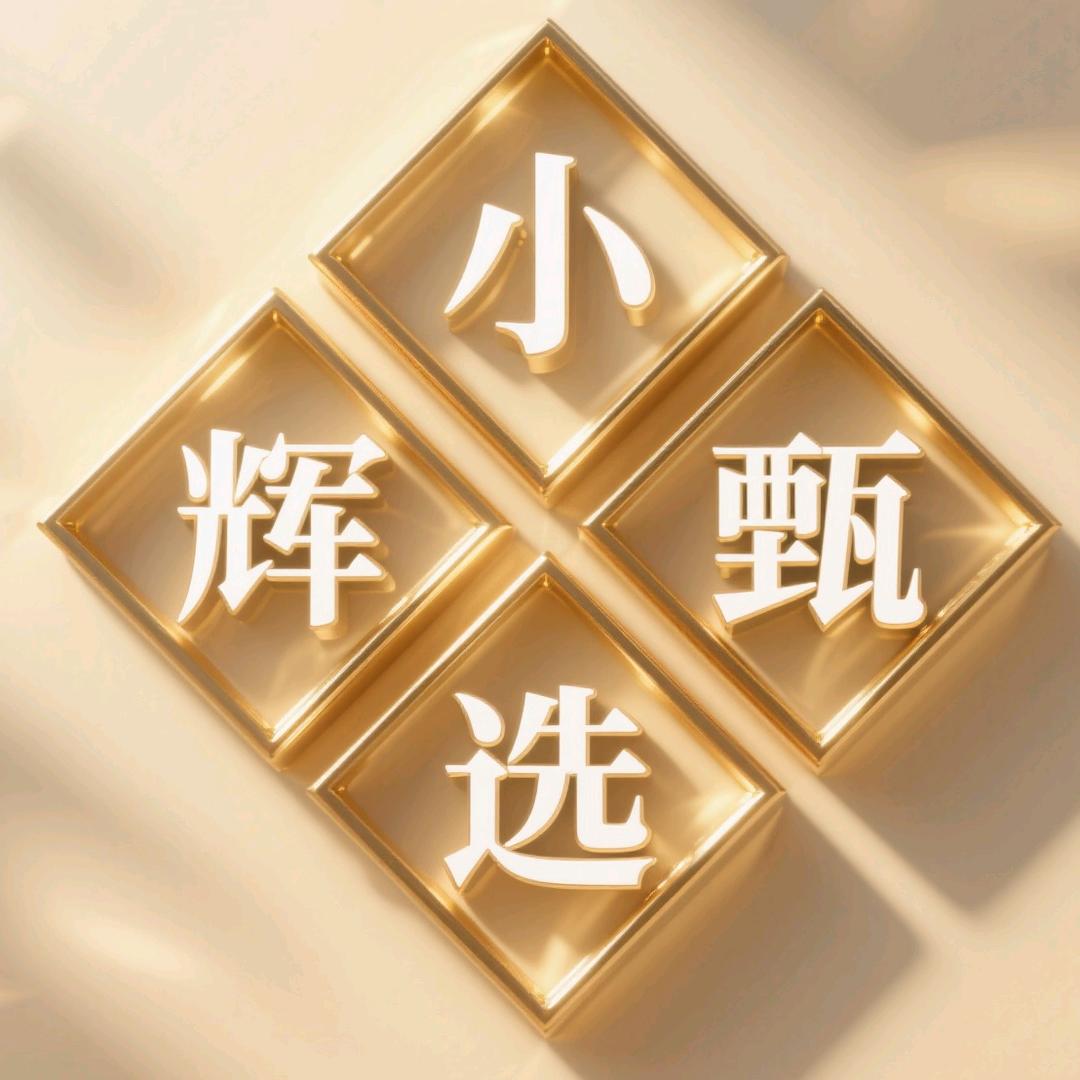 小辉甄选