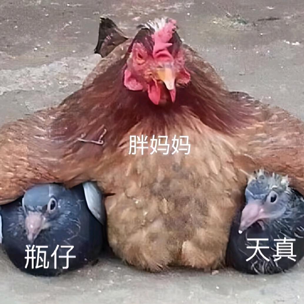 和蔼的胖妈妈