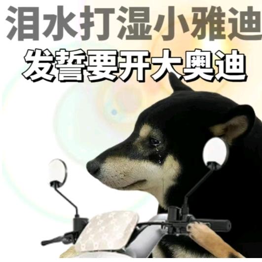 🐻民族无所畏惧