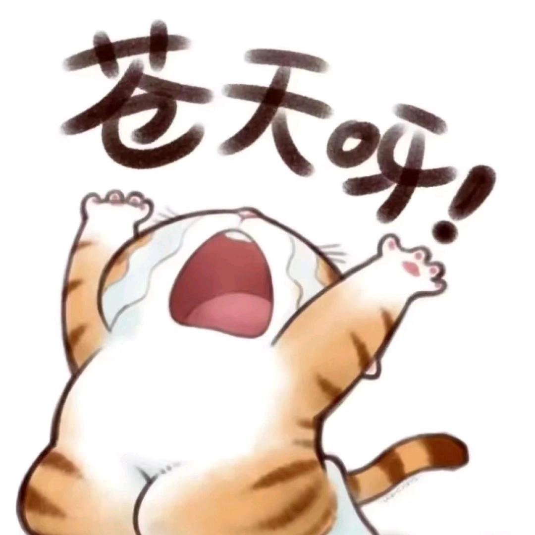 鱼香肉丝🌸