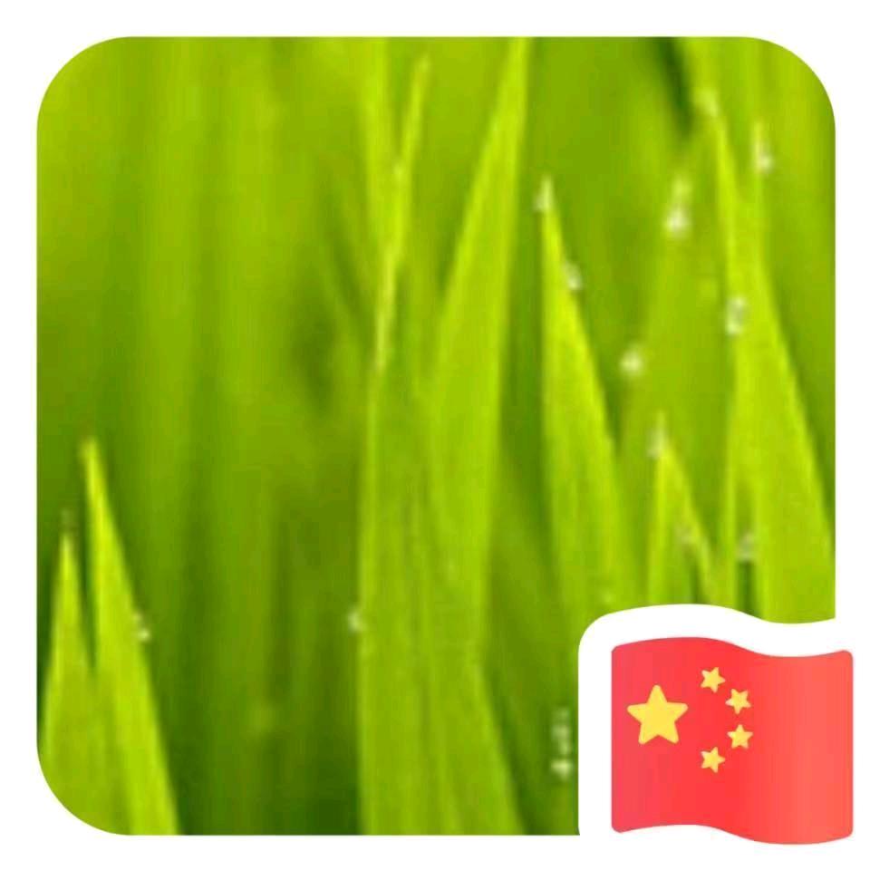 顺骑自然