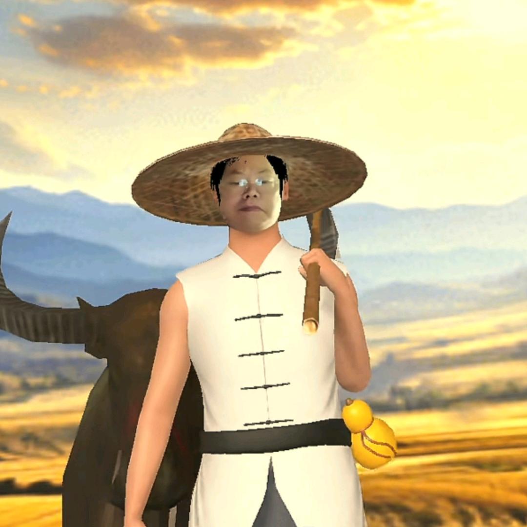 重庆 土宝仔