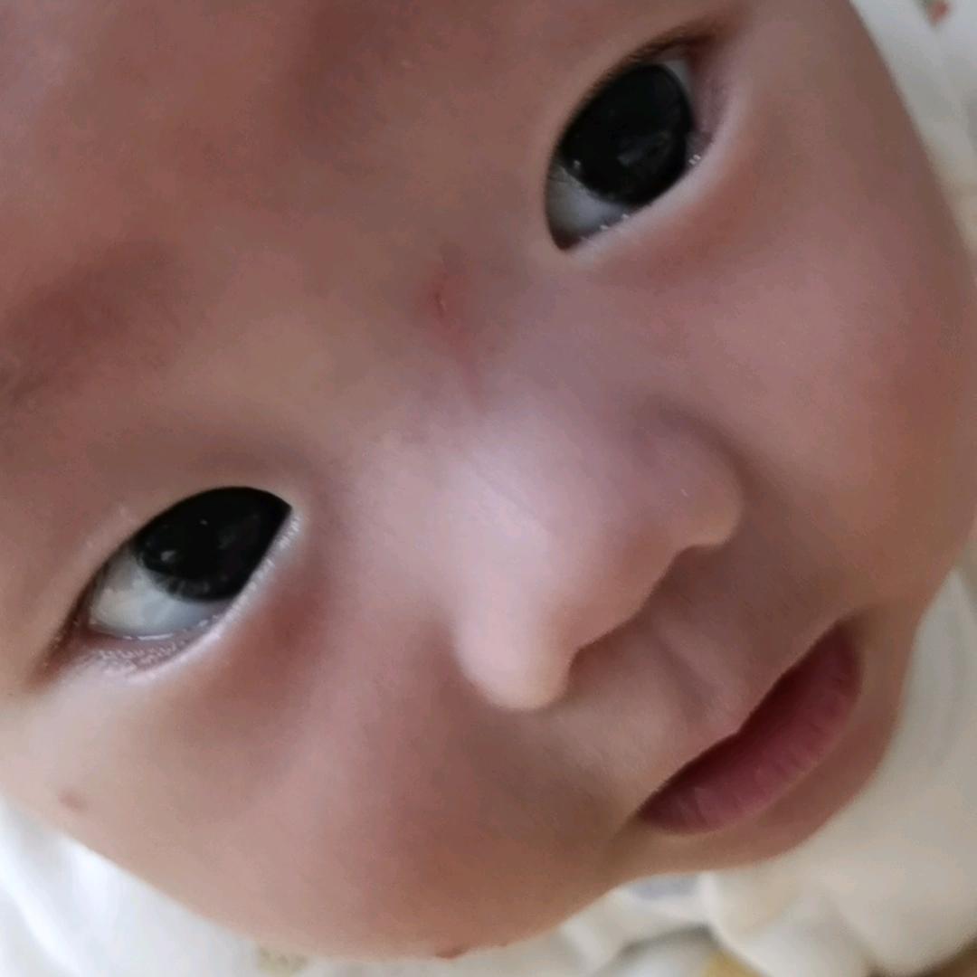 小猪猪（安仔妈咪）