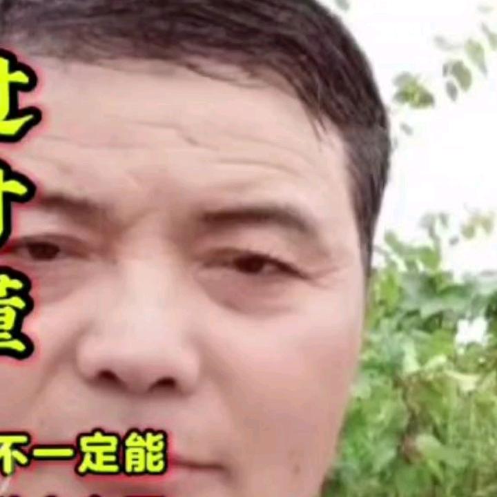 ′人生如梦