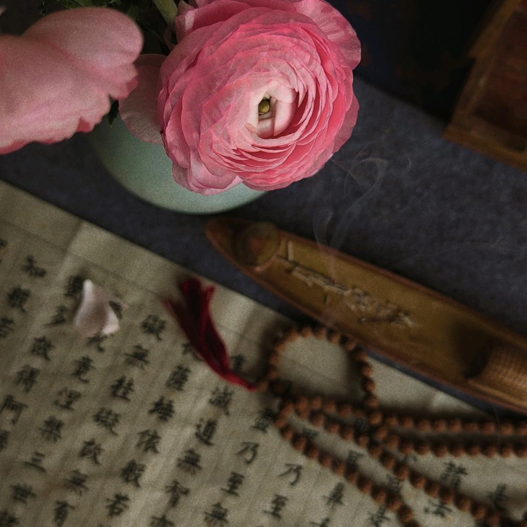 尘熹·慢生活