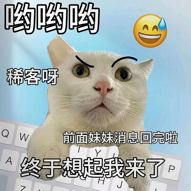 小贝贝
