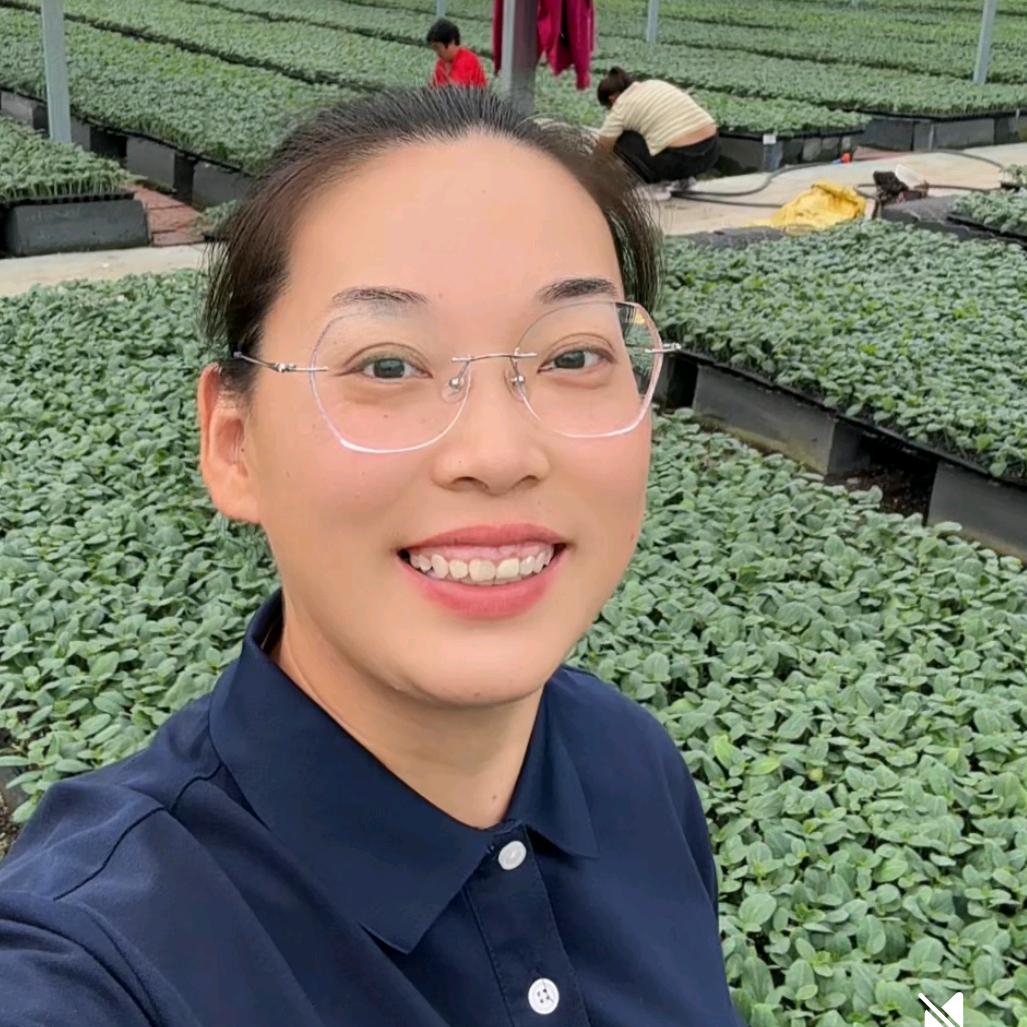 长恒种业（黄瓜、砧木种苗）：赵连平