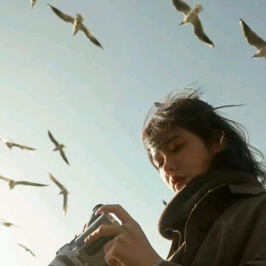 鹿春莲