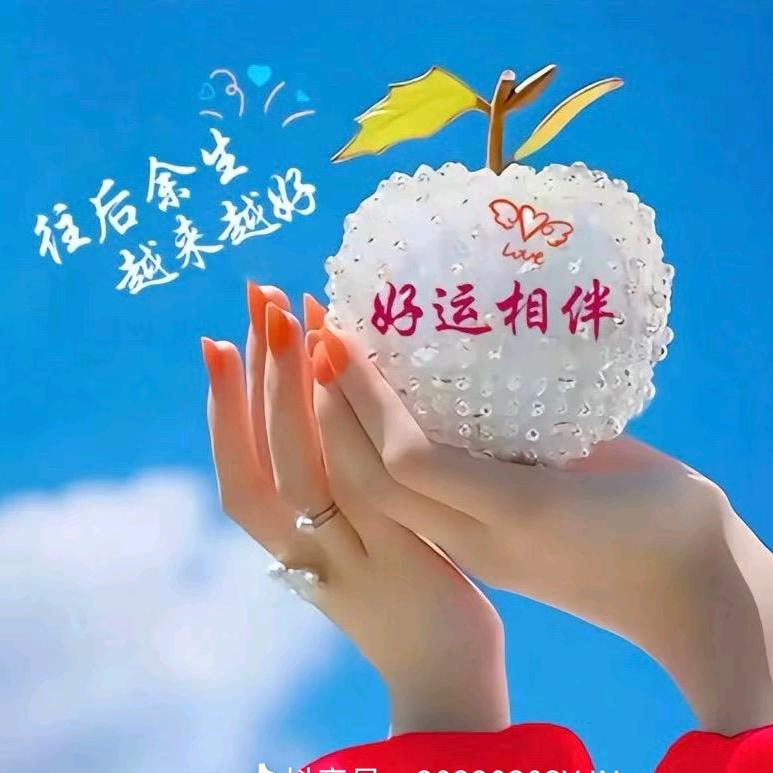 粉红色的玫瑰