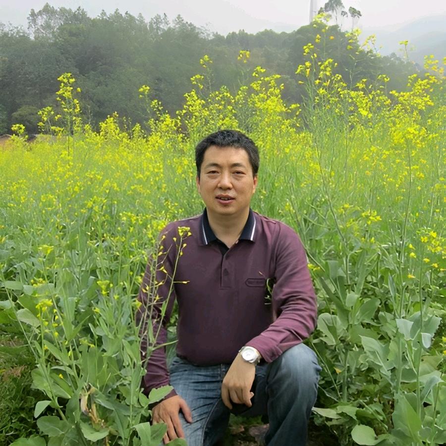 飞船