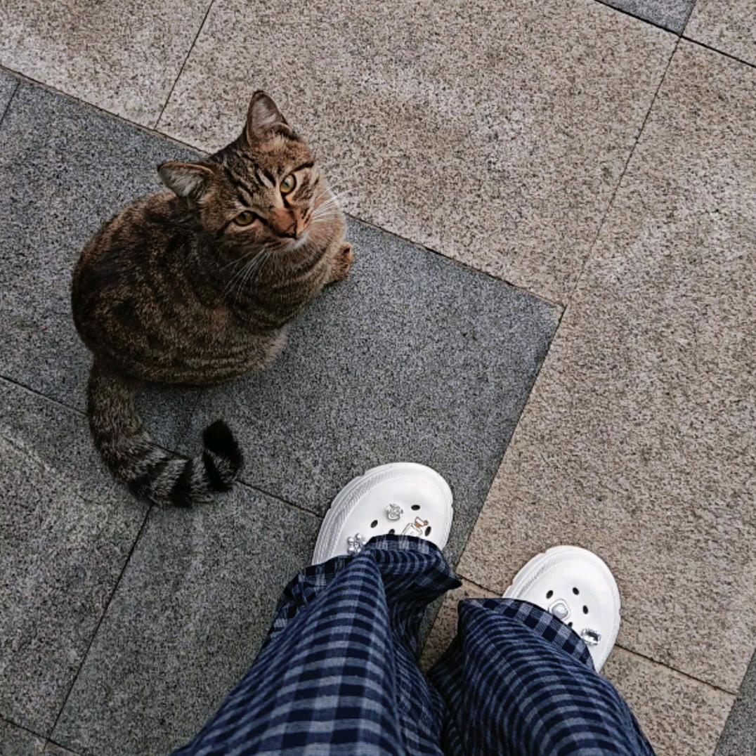 树莓奶冻