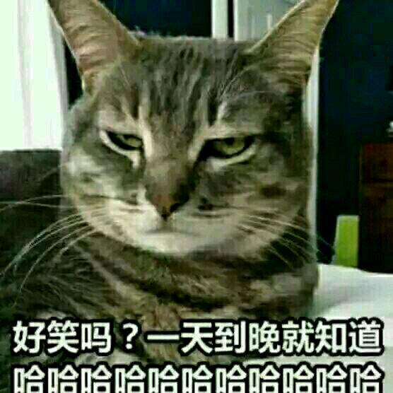 路过2025