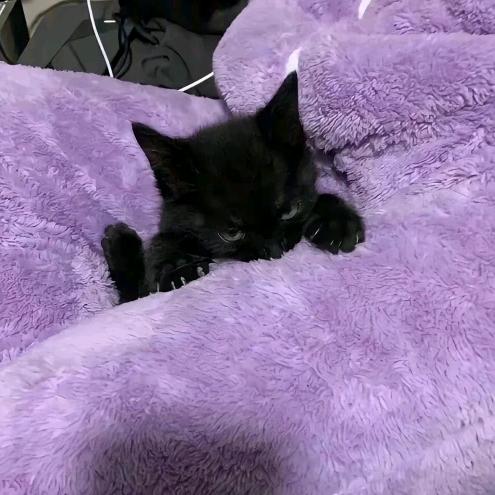 我要睡到自然醒！