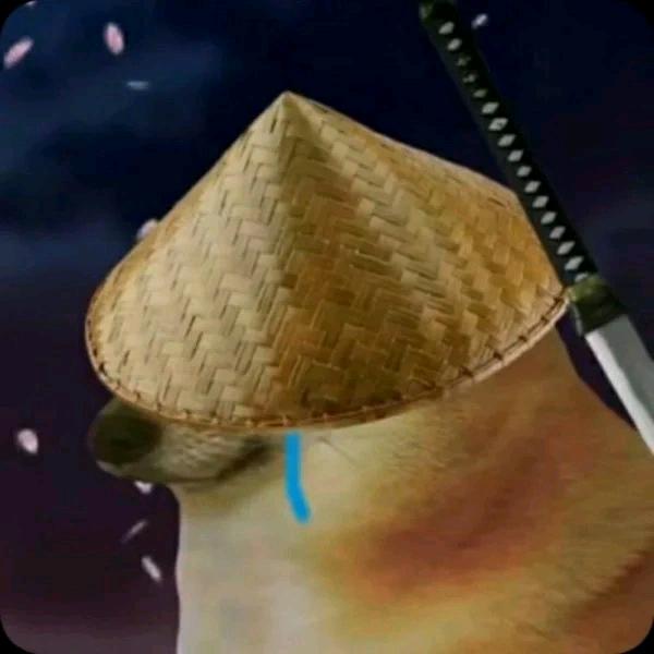 清风xcx