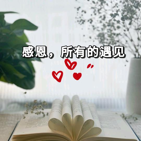 💓小晴天
