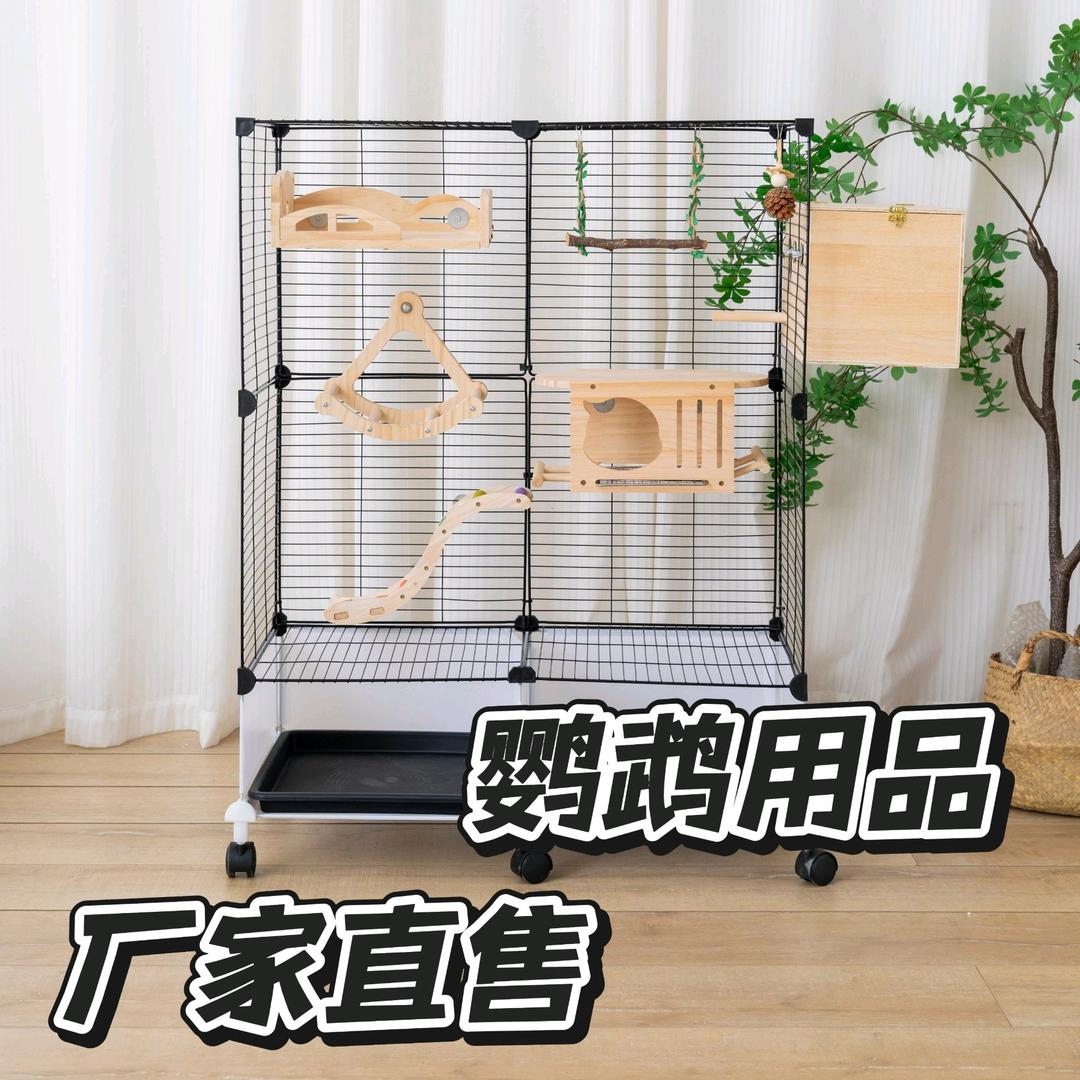 我爱我鹦