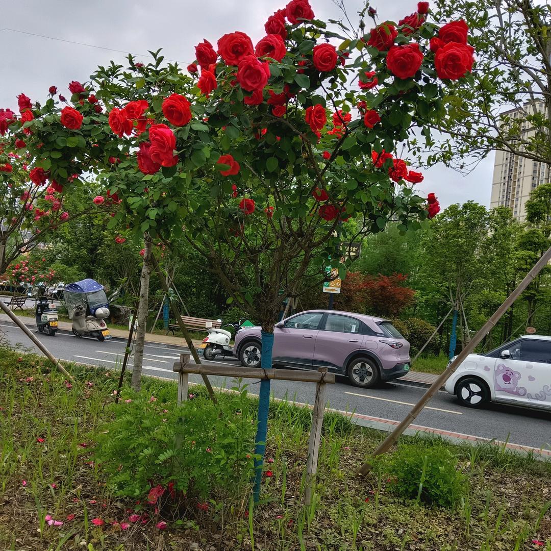 曾经的一切都是浮云