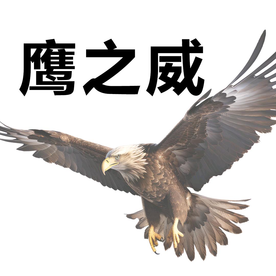 鹰之威五金工具店